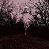 Fallacious Woods - A Mixtape