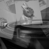 Bunny 45 MIX - News in !