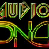 AUDIO DnA- Liquid Robots