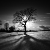 Lifeless Shadows