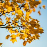 John and Brian from Alcoholics Anonymous tell  their personal stories of addiction and recovery