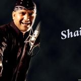 Shail Mix