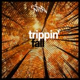 Dj Nita - Trippin' Fall