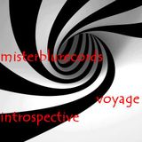 VOYAGE INTROSPECTIVE