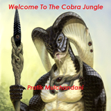 Welcome To The Cobra Jungle-DJ Patrick Mashup