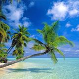 Summer Has Come