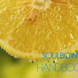 Guest Mix For SoulBowl