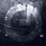 Tehnofonika POD006 - Mr.Frankie