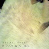 A Duck in a Tree 2014-03-29 | The Square with Five Corners