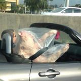 Cochon voyage