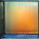 A Duck in a Tree 2014-12-06 | Put Another Way