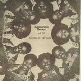 Summer Soul Therapy vol 26 by Skymark (Modern Soul, Disco, Gospel)