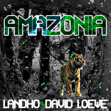 Landho & David Loewe - Amazonia (Original mix)