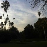 My Mellow My Plan (2003 Demo)