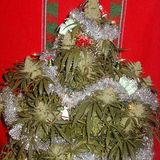 A Merry Christmas Mix