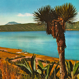 Reverberation #73