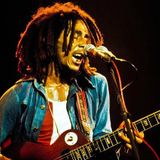 Bob Marley and the Wailers Live '75 (Vinyl Rip 24/96 German Box Set)
