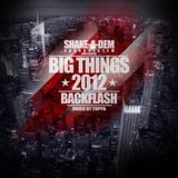 Big Things Vol.14 - the 2012 Backflash