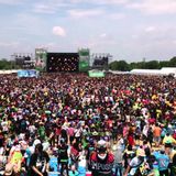 Japanese "Fes" Mix