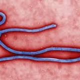 CBC Internship- 'what happens there is mystery' a UNBC Prof's Battles With Ebola and Cultural Norms