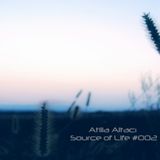 Atilla Altacı - Source of Life #002