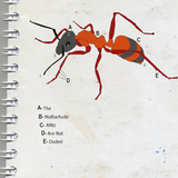 Addictpulse - The Motherfuckr ANtz Are Not Dudes!... Mixtape