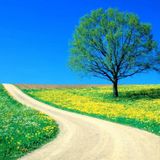 Impressioni di primavera