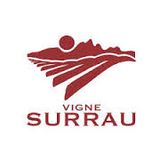 Vigne Surrau Night Lounge preview