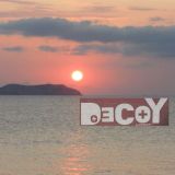DecoyLeicester Summer Of House August 2015 Mixed By Dame'o Foran