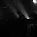 Katuchat _ Les NUITS de la JUNGLE
