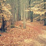 Hidden Paths Vol.2 (December 2012 Mix)
