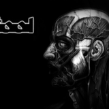 TOOL LIVE 03/04/14 IN HD