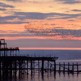 Lost Idol's End Of The Pier mix