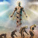 Darkology-Evolution of Consciousness
