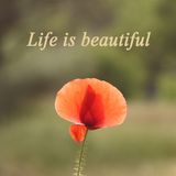 Life is beautiful
