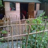 The Shed #172 (10.11.2014)