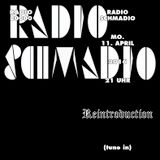 Radio Schmadio Nr.42 - Reintroduction