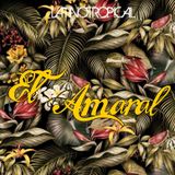 El Amaral / LATINOTROPICAL