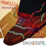 Salvatore Crème Dj - What_U_1nt (minimix) 2013