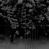 The Sound of Sunday : XXVII : M