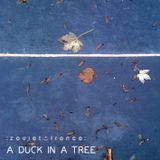 A Duck in a Tree 2013-11-09 | A Playful Wind Stops at Will