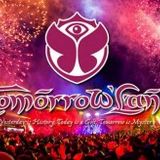 David Guetta @ Tomorrowland 2014