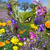 Spring Blossom Mix 2013