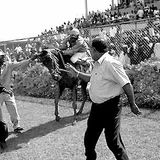 Showdown At Brushy Park-Early Reggae from Boss to Slackness to Roots (1965 -1975)