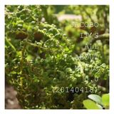 JACOBO - Holly Weekend Mix (20140418)