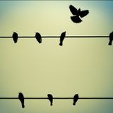 Break Free