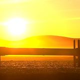 Sunshine Short Mix