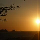 Blind at dawn