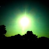 ASIP - Reflection on 2010