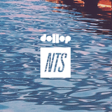 dollop - NTS Show June 14